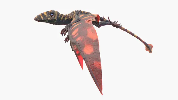 Ilustracja Pterozaura Peteinozaura — Zdjęcie stockowe