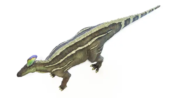 Illustration Tsintaosaurus Dinosaur - Stock-foto