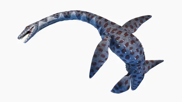 Ilustração Plesiossauro Attenborosaurus — Fotografia de Stock