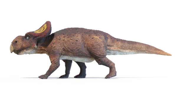 Ілюстрація Динозавра Protoceratops — стокове фото