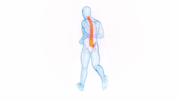 Back Pain While Jogging Illustration — Stock Photo, Image