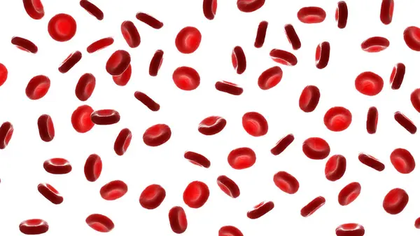 Клітини Червоної Крові Ілюстрація — стокове фото