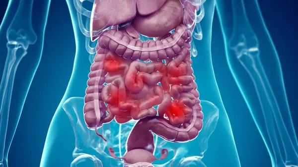 腹部器官 背景のイラスト — ストック写真