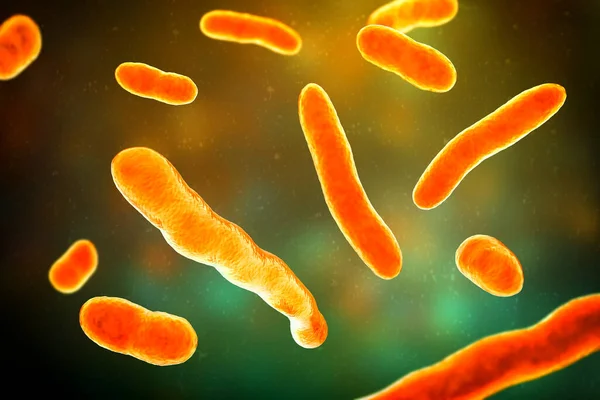 엘리자베스킹키아수막티카박테리아 컴퓨터그림입니다 이전에 플라보박테리아 수막증이라고 알려진이 박테리아는 결핍증이있는 성인에서 수막염을 — 스톡 사진