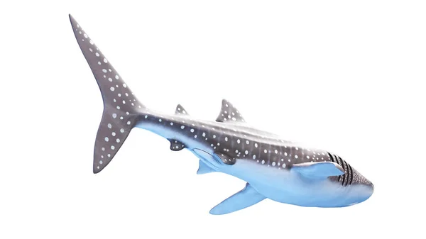 Ilustração Tubarão Baleia — Fotografia de Stock