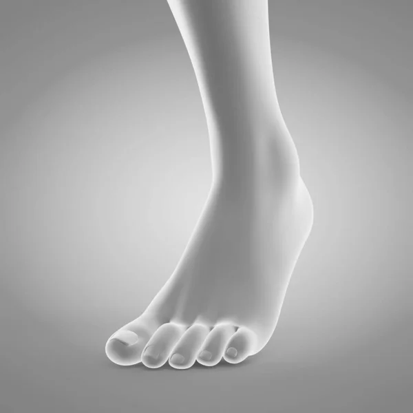 Walking Foot Illustration Background — Stock Photo, Image