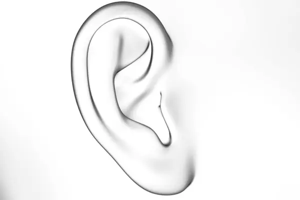 Illustration Female Ear Illustration — Stock Photo, Image