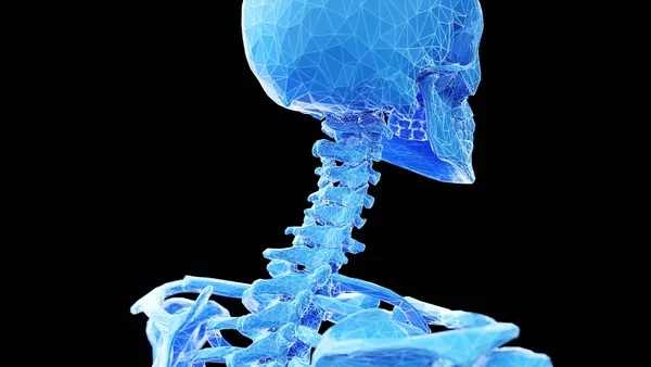 Halswirbelsäule Knochen Illustration — Stockfoto