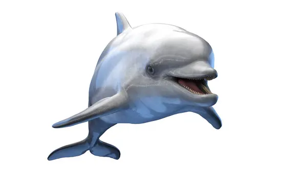 Illustration Delfin Isolerad Vit Bakgrund — Stockfoto