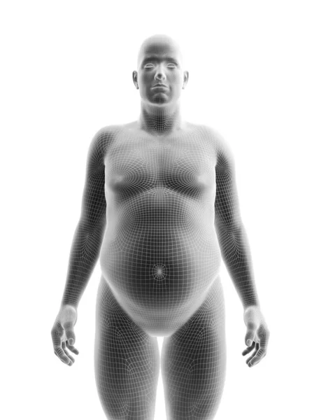 Obeso Corpo Masculino Ilustração — Fotografia de Stock