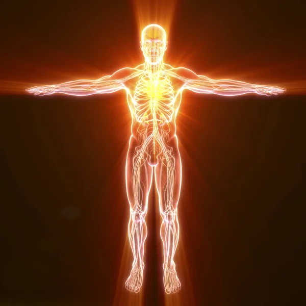 Koncepcyjna Ilustracja Elektromy Całości Prądów Które Istnieją Organizmie Człowieka — Zdjęcie stockowe