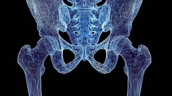 Hüftknochen Illustration Hintergrund — Stockfoto