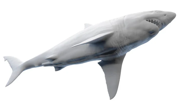 Ilustración Tiburón — Foto de Stock