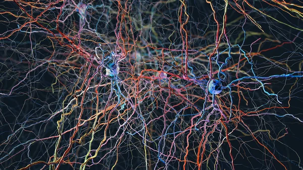 Neuronal network, conceptual illustration. This could represent a neural circuit of biological neurons or a network of artificial neurons used for artificial intelligence models.