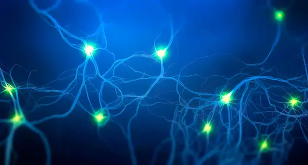 Neuronal Network Conceptual Illustration Could Represent Neural Circuit Biological Neurons — Stock Photo, Image