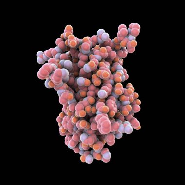 İnsan büyüme hormonu molekülü (hGH, somatotropin), bilgisayar illüstrasyonu. Doğal bir hormon hem ilaç hem de doping aracı olarak kullanılır..