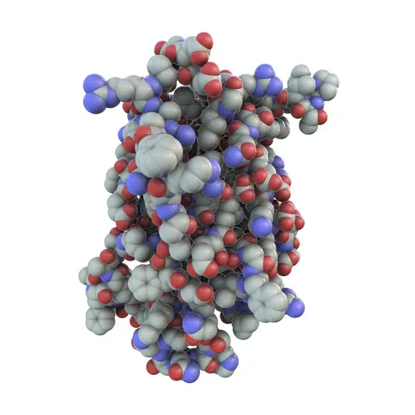 Human Growth Hormone Molecule Hgh Somatotropin Computer Illustration Natural Hormone — Stock Photo, Image