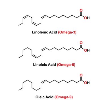 Chemical Structure Of Some Fatty Acids (Linolenic Acid, Linoleic Acid And Oleic Acid). clipart