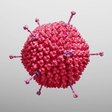 3d Illustration of an adenovirus particle on grey background  clipart