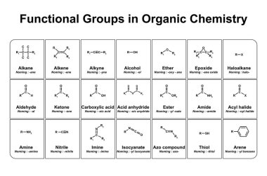 Functional groups in organic chemistry, illustration. clipart
