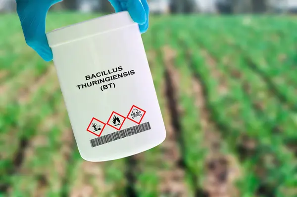 Balení Bacillus Thuringiensis Ruce Bakteriální Pesticid Používaný Regulaci Škůdců Hmyzu — Stock fotografie