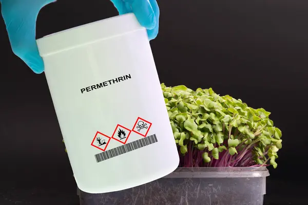 Container Permethrin Insecticide Hand Used Control Pests Livestock Crops — Stock Photo, Image