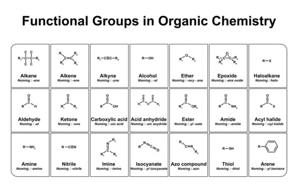 Functional Groups Organic Chemistry Illustration — Stock Photo, Image