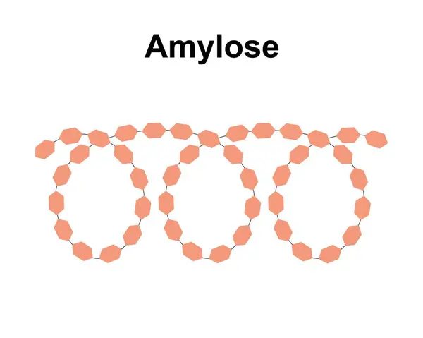 Scientific Designing Amylose Sugar Molecule Illustration — Stock Photo, Image