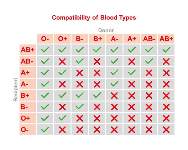Scientific Designing Abo Blood Type Compatibility Illustration — Stock Photo, Image