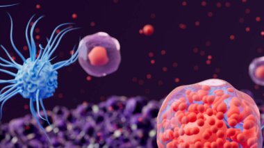 Sitokinler (kırmızı noktalar) ve iki tip beyaz kan hücresi: bir dendritik hücre (mavi) ve t yardımcı hücreleri (kırmızı çekirdekli mor)). 