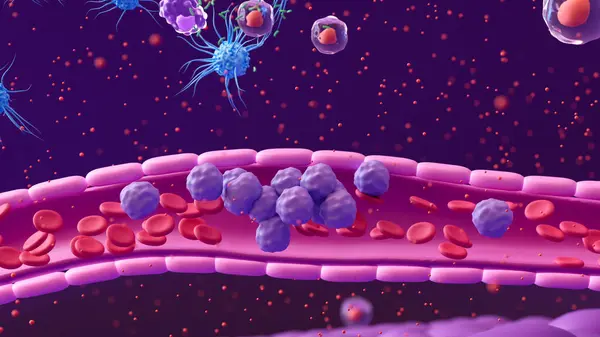 stock image Illustration showing white blood cells (purple) in a blood vessel (pink tube) moving towards the site of a bacterial infection (green, top). 