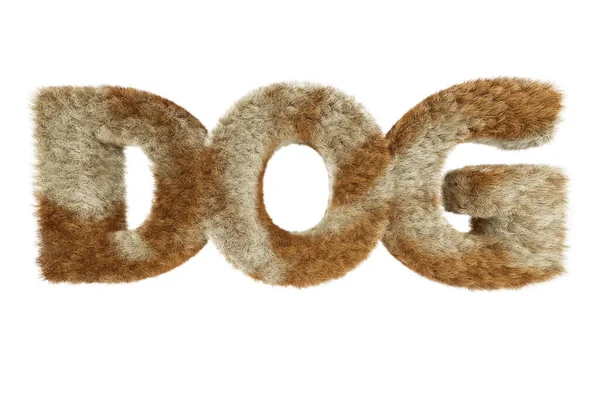 Word Dog Very Furry Written White Background — Stock Photo, Image