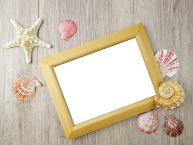 Sea shells and frame on wooden background