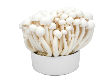 Shimeji mushrooms white varieties in a cup isolated on white background.