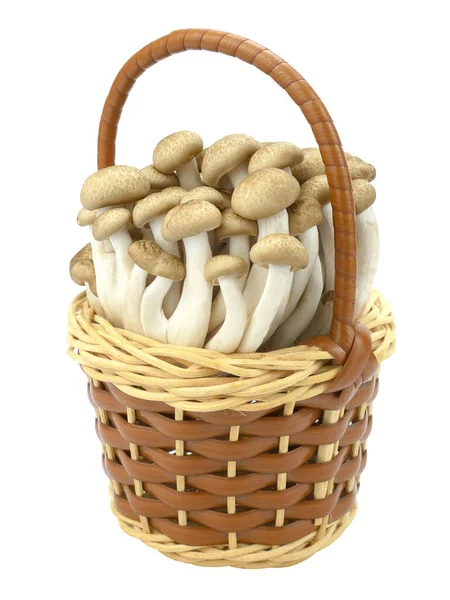 Shimeji Mushrooms Brown Varieties Basket Isolated White Background — Fotografia de Stock