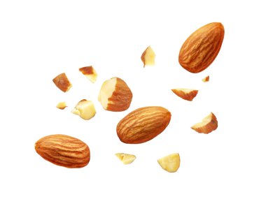 Beyaz arka planda izole edilmiş badem fıstıkları. Badem sineği. Tam alan derinliği. Görüntüyü kapat.