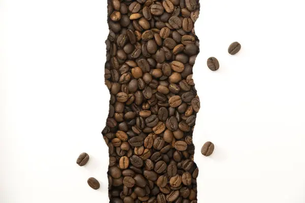 Kávébab Szakadt Papír Háttér Szöveg Másolási Helye — Stock Fotó