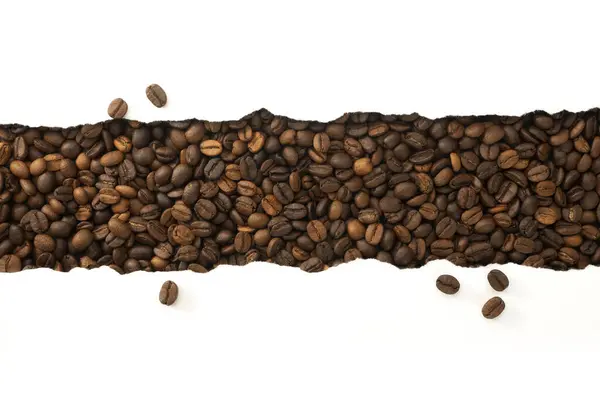 Kávébab Szakadt Papír Háttér Szöveg Másolási Helye — Stock Fotó