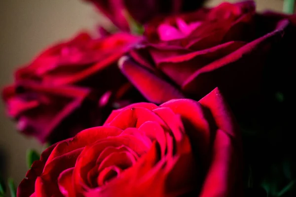 Красивые Красные Розы Букете Темном Фоне — стоковое фото