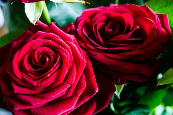 Красные Розы Фон Крупный План Красных Роз Букете — стоковое фото