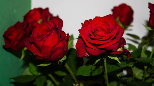 Κόκκινα Τριαντάφυλλα Βάζο Πράσινο Φόντο Κοντινό Πλάνο — Φωτογραφία Αρχείου