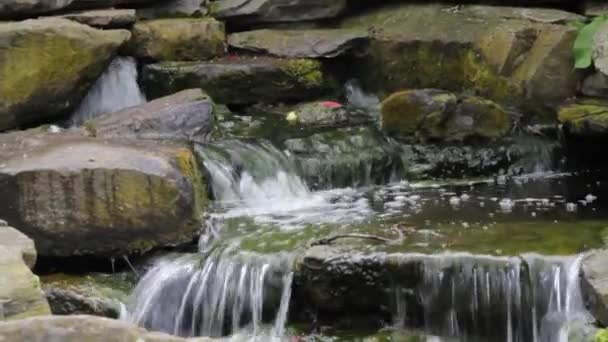 Detail Malého Vodopádu Tekoucího Kamenné Zdi Parku — Stock video