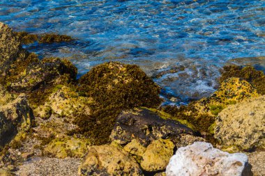 Curacao adasının kayalık kıyıları