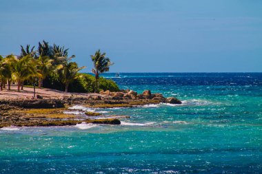 Karayip Denizi kıyısında palmiye ağaçları ve mavi gökyüzü.