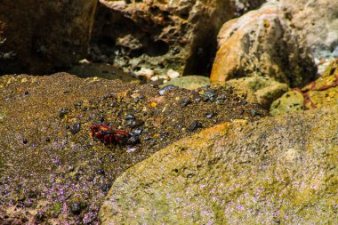 Klein Curacao 'daki deniz feneri Eski inşaat ve mavi gökyüzü