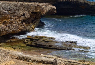 Curacao adasının çölündeki kayalıklardaki kertenkele.