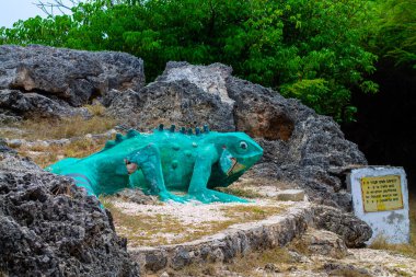 Ormanın ortasında terk edilmiş bir ev, Curacao.