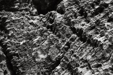 Siyah beyaz bir kaya parçasına yakın çekim.