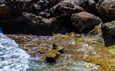 Ormanın ortasında terk edilmiş bir ev, Curacao.