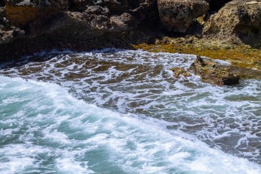 Ormanın ortasında terk edilmiş bir ev, Curacao.